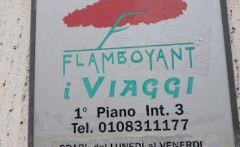 Flamboyant I Viaggi Della Traverl Art Srl