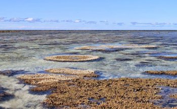 Die Reisebotschafter - Cruising Reise GmbH