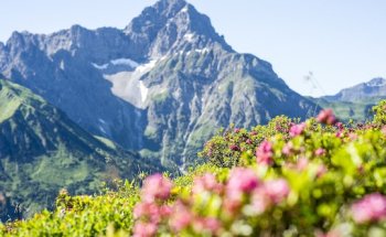 Prismare Reisebüro GmbH