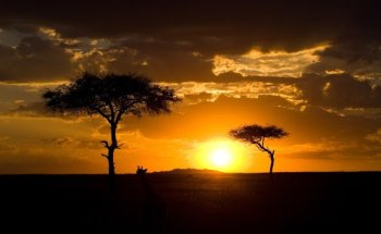 TWO OCEANS Travel & Tours