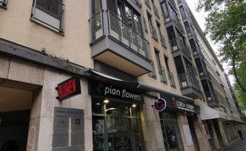 Palmyra Reisen - TICKETshop & ERLEBNISreisen