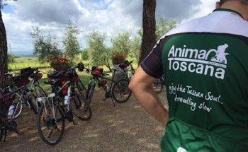 Anima Toscana Bike Tours