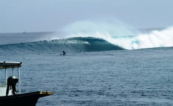 Turquoise Voyages & Turquoise Surf Travel