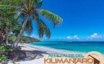 Agenzia Viaggi ALLE FALDE DEL KILIMANJARO - Roma