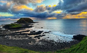 Bunyip Tours - Sightseeing Melbourne