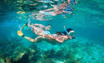 Last Minute Day Tours - Melbourne & Sydney Tours