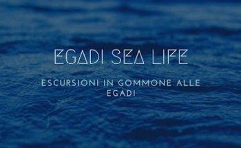 EGADI SEA LIFE Escursioni in gommone a FAVIGNANA, LEVANZO