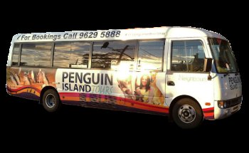 Penguin Island Tours