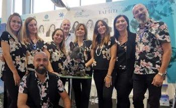 Tinky Winky Travel Tour Operator