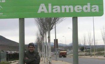 Alameda Agenzia Viaggi Srl