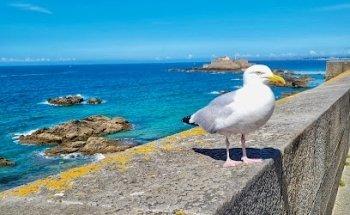 Etlim Travel Tour Operator