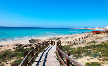 GALLIPOLI