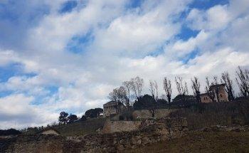 Viaggid'amare