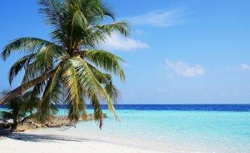 I LIKE VIAGGI