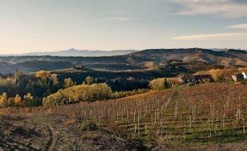 LoveLanghe - Visite in Cantina ed Eventi nelle Langhe e in Piemonte