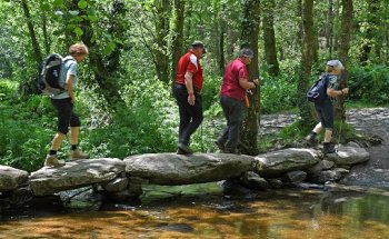 Bayerisches Pilgerbüro e.V.