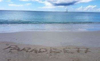 Paradise 77 viaggi