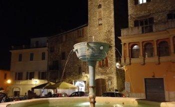 C.M. Viaggi Srl