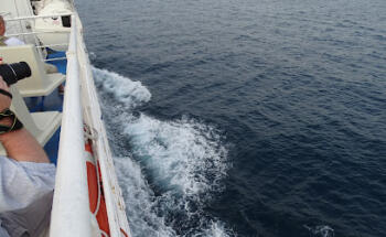 Insula Transfer - Transfer Ischia, Capri, Sorrento and Amalfi Coast