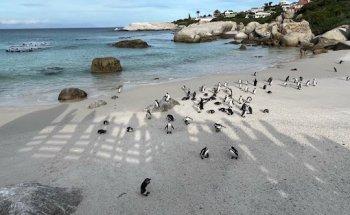 Tourismondo Viaggi