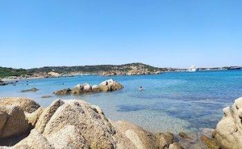 ForYouViaggi (I Ragazzi della Mimosa)