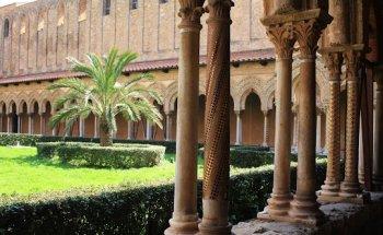 Terra e Cultura Viaggi