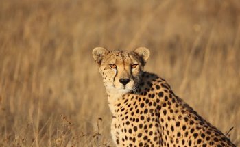 La Route des Voyages