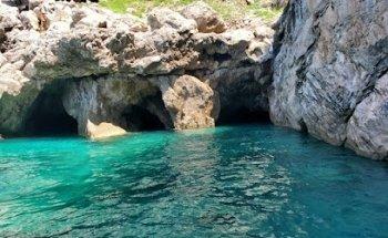 Fauno Travel