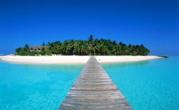 Selectour - TLM Voyages