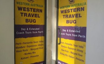 Western Travel Bug
