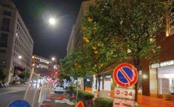 Plaza Viaggi Srl