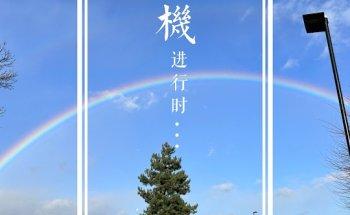 MORE TIME TRAVEL 猫探旅行