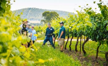 Colourful Collective Travel