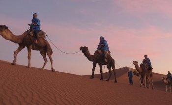 Butterfield & Robinson