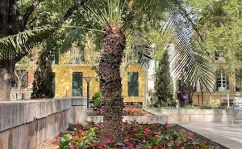 Schmetterling Reisebüro