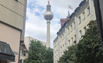 Un Gato con Pasaporte