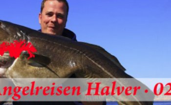 Angelreisen Halver