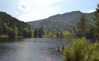 N.E.W.- Institut Mainz