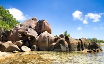 Alizee Reisen - Reiseveranstalter