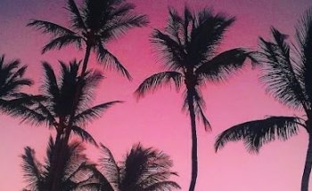 NavigaTours, Reisebüro Schöneck, Inh. Silke Brand