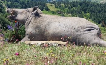 Alexander Winter Jagdreisen