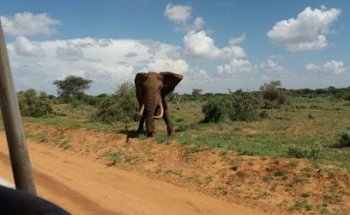 Beate Raedel Reisebüro Müritz