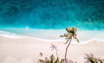 Tropical Dreams Travel