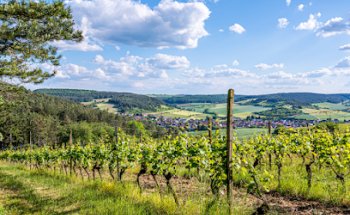 ZweiUferLand Tourismus e.V.