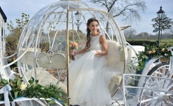 Hochzeitspferde- Wedding horses