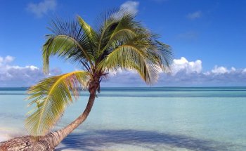 Nisan Reisen Brackwede Inh.Ferman Nisan