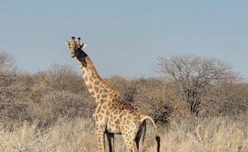 Reisebüro Flugbörse Paderborn