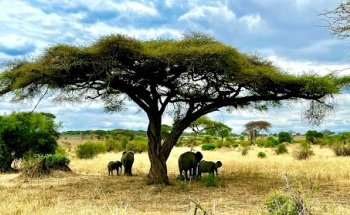 La Route des Voyages