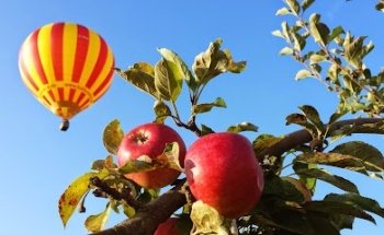 Ballonfahrten Schäfer BRANDENBURG