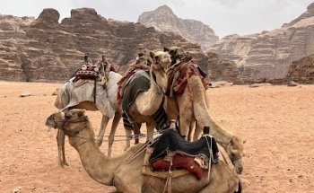 For Family Travel GmbH